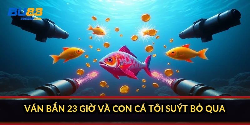 Cách nhận biết cá thưởng cao: 5 dấu hiệu tôi học sau ván x200 2 Ván bắn 23 giờ và con cá tôi suýt bỏ qua