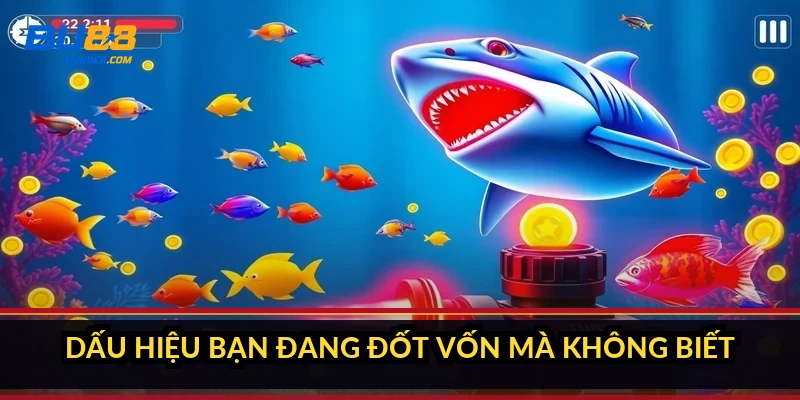 Cách săn cá lớn ít tốn đạn: 6 mẹo giữ vốn cho dân bắn cá 2 Dấu hiệu bạn đang đốt vốn mà không biết