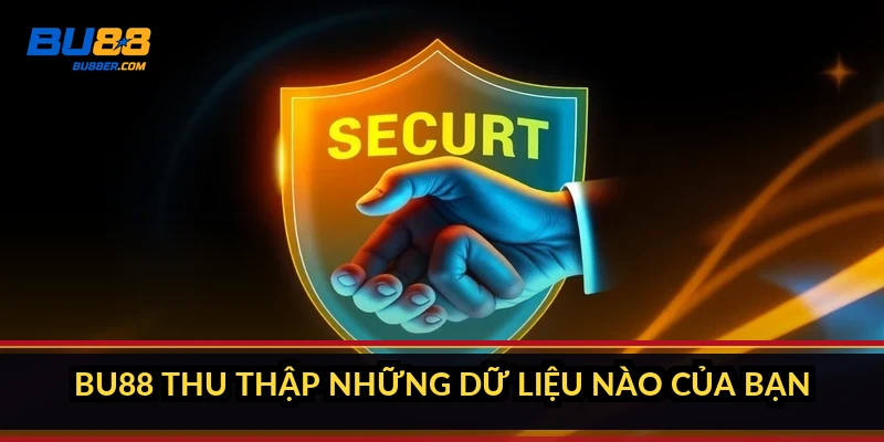 Chính sách bảo mật BU88: thu thập gì, bảo vệ ra sao? 1 BU88 thu thập những dữ liệu nào của bạn?
