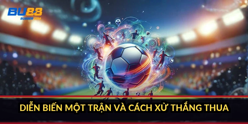 Luật đá gà cựa sắt Thomo: 7 quy định người mới phải nắm 4 Diễn biến một trận và cách xử thắng thua