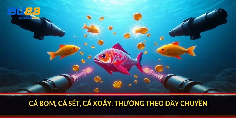 Cách nhận biết cá thưởng cao: 5 dấu hiệu tôi học sau ván x200 5 Cá bom, cá sét, cá xoáy: thưởng theo dây chuyền
